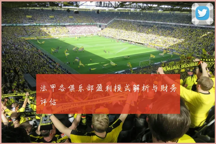 法甲各俱乐部盈利模式解析与财务评估