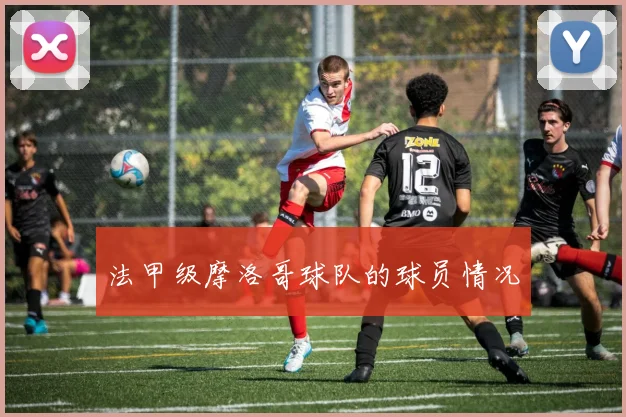 法甲级摩洛哥球队的球员情况