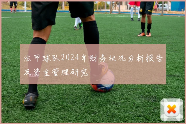 法甲球队2024年财务状况分析报告及资金管理研究