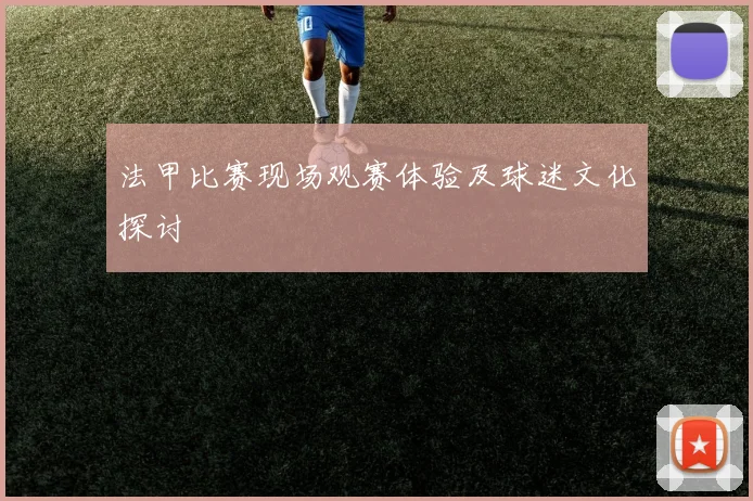 法甲比赛现场观赛体验及球迷文化探讨