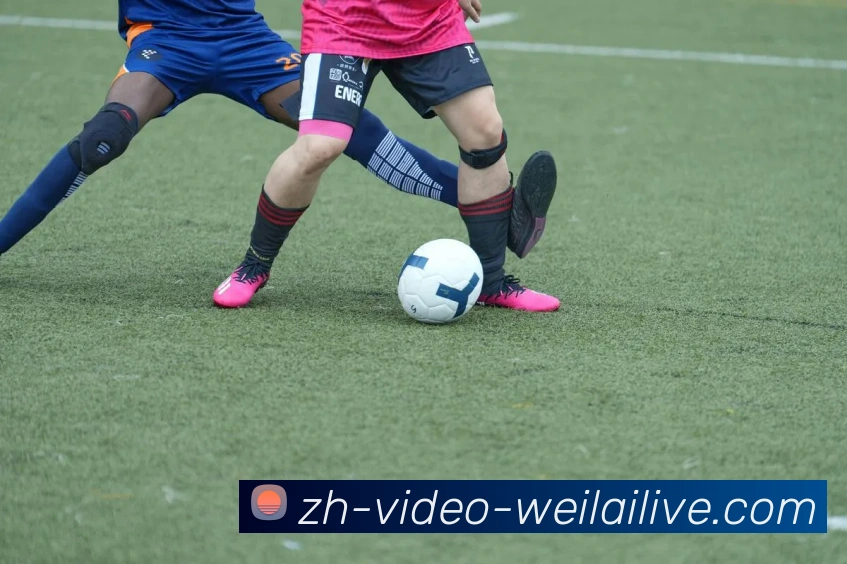 纬来体育发展历程